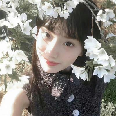 北极求生任务